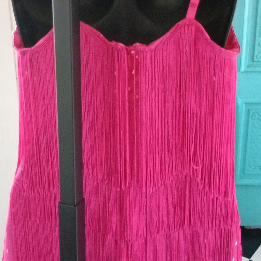 1️⃣2️⃣4️⃣🆕👗Flapper Dress - Picture 3 of 6